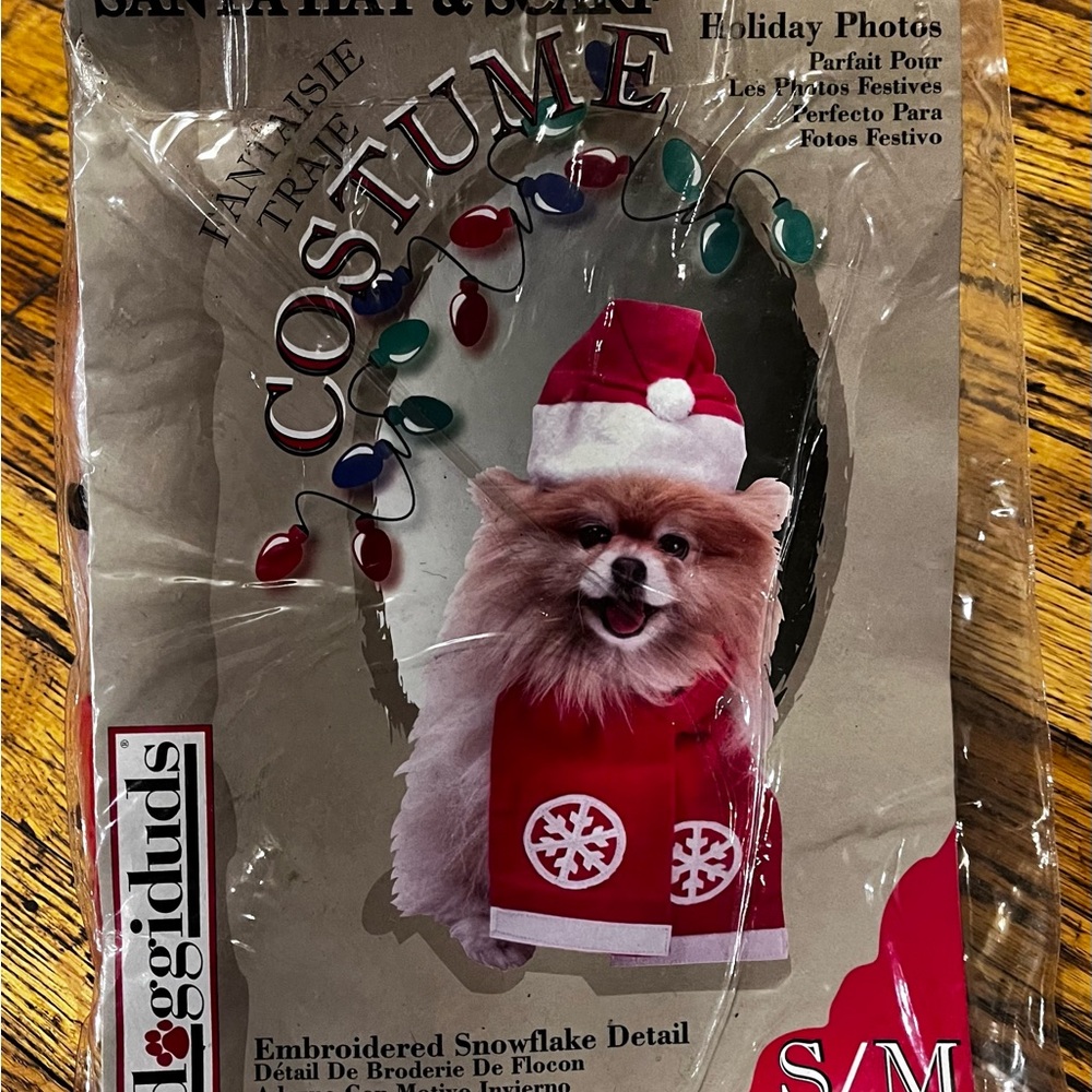 Santa Costume